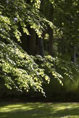 Hold møde og bidrag til at genoprette danske naturområder