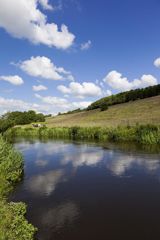 Sommerophold på Haraldskær