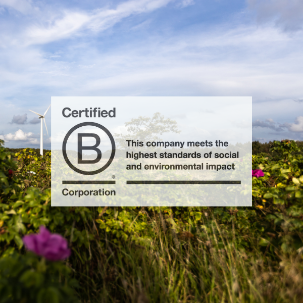 Bedst for verden - et nyt forretnings-mindset