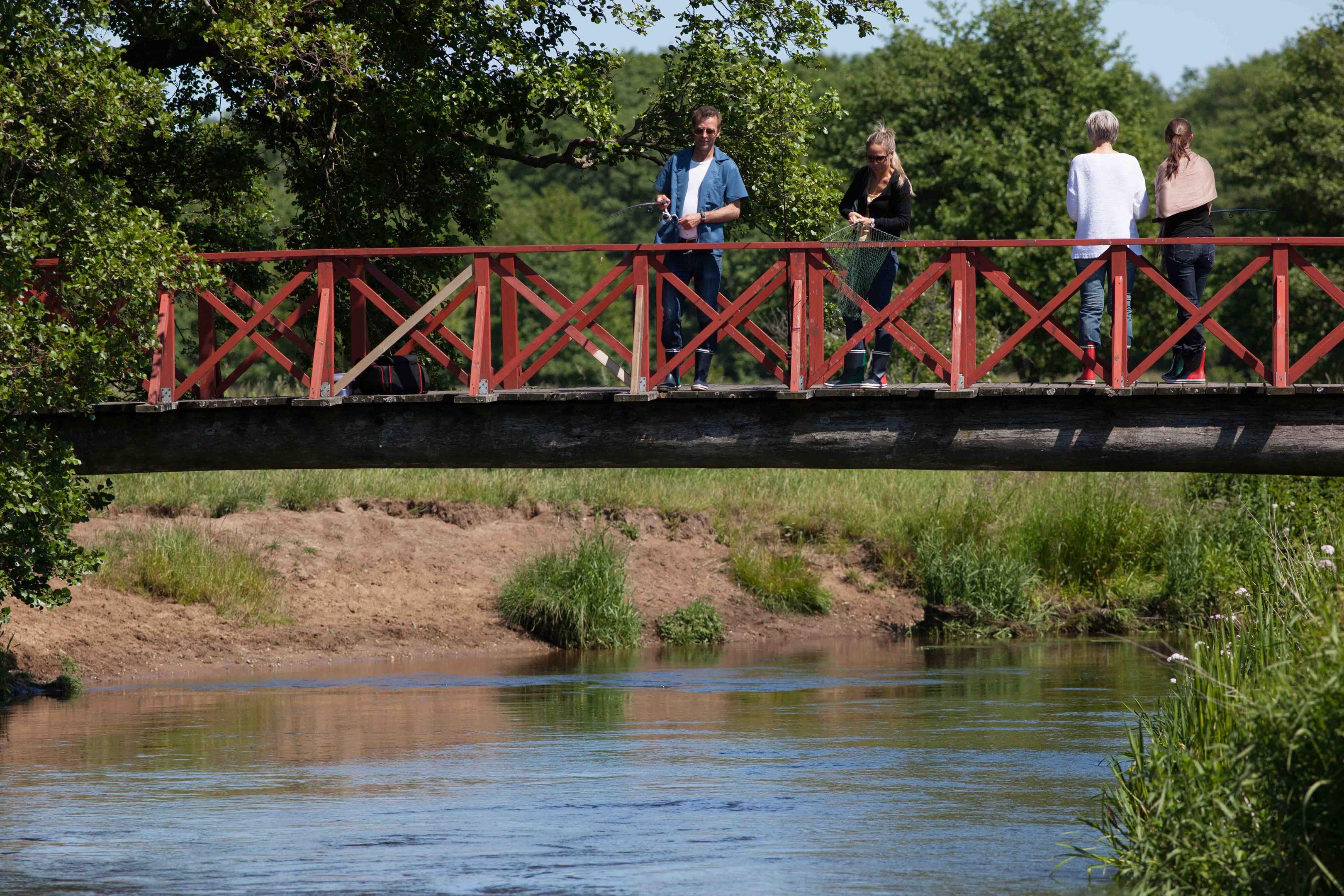 Nature experiences in and around Vejle Ådal