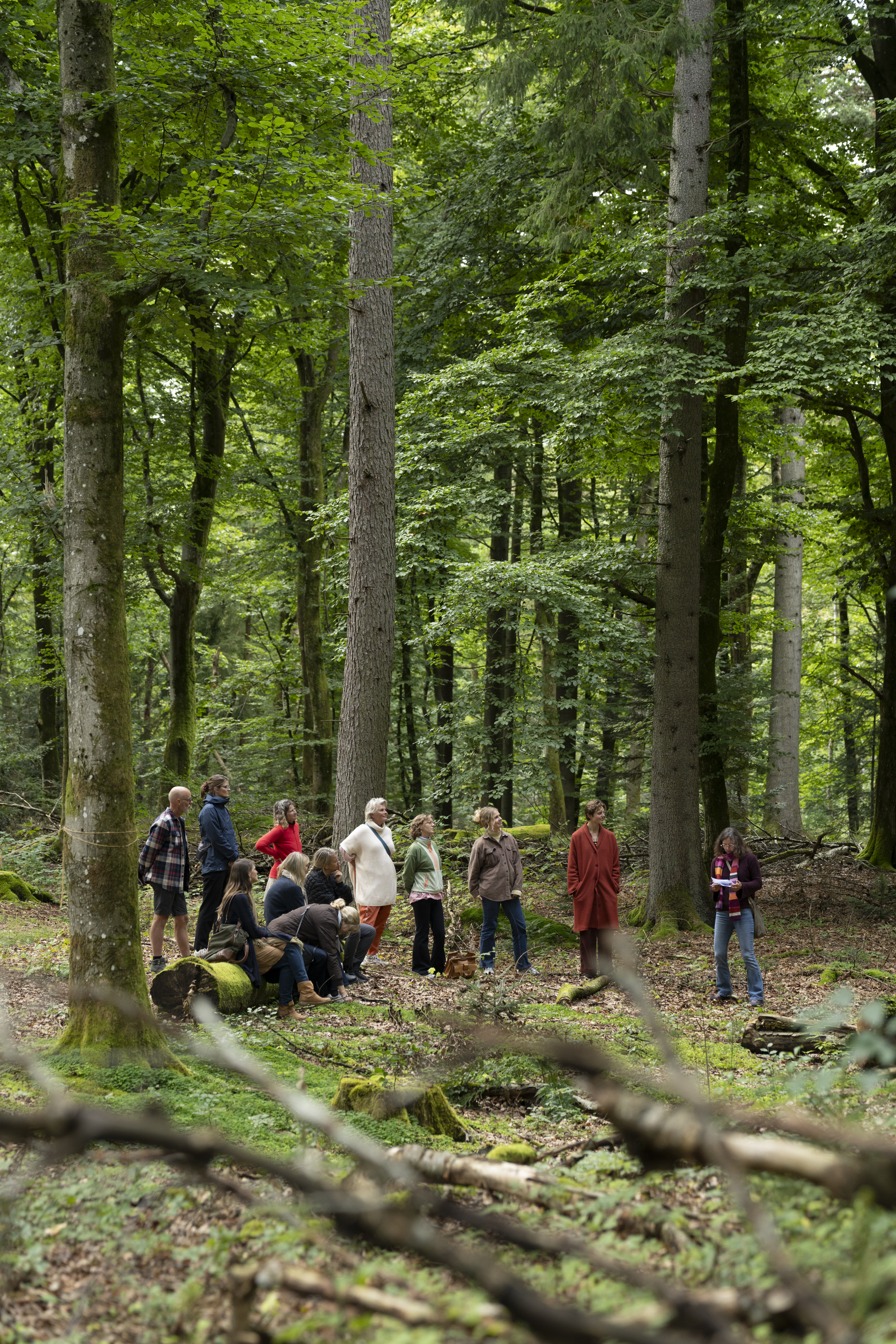 Hvorfor møder i naturen?