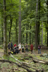 Why meetings in nature?