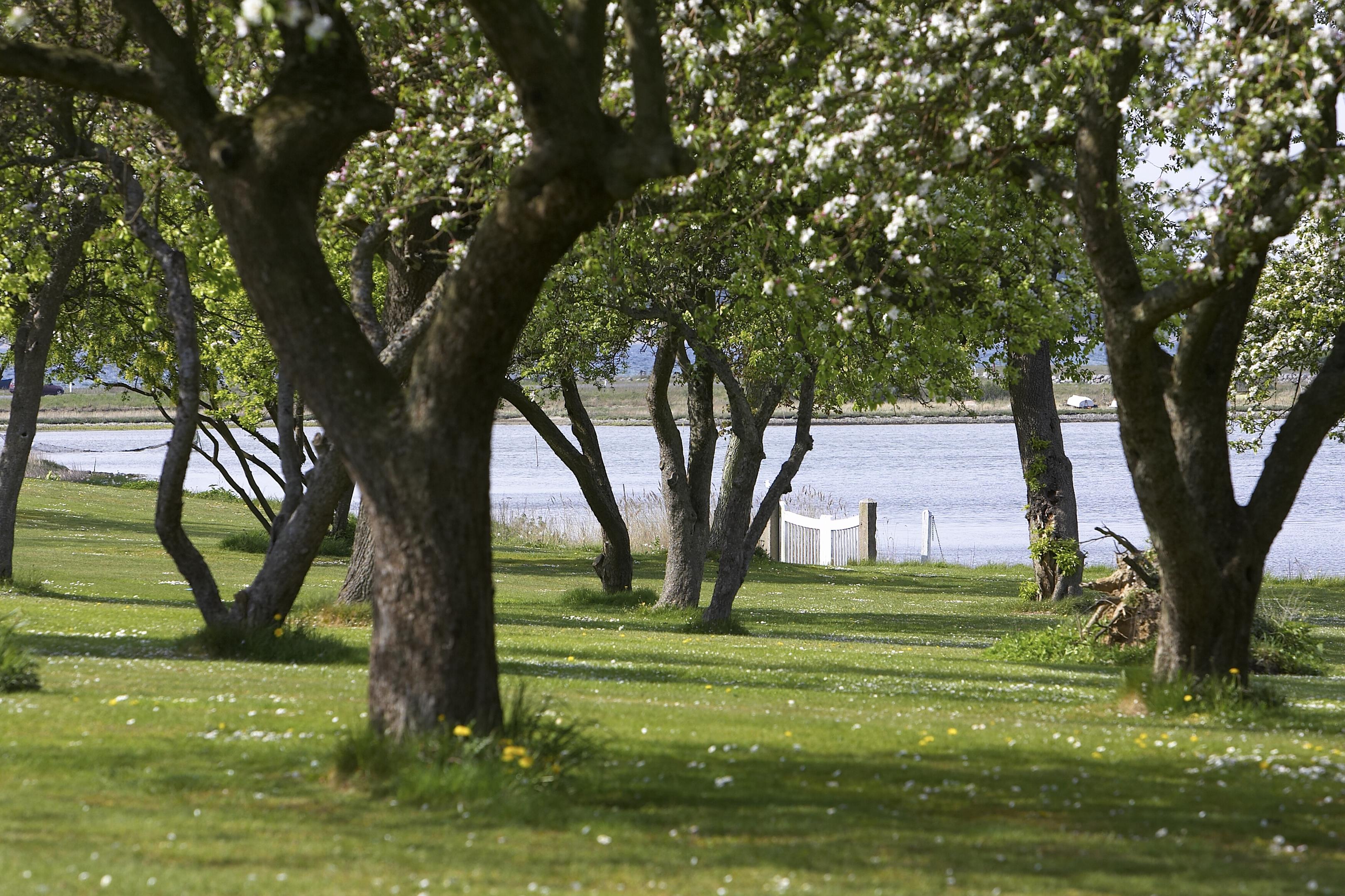 Danmarks Bedste Hotelkæde
