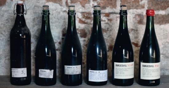 Beer tasting at Haraldskær