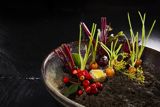 Læs Sinaturs gastronomiske kodeks