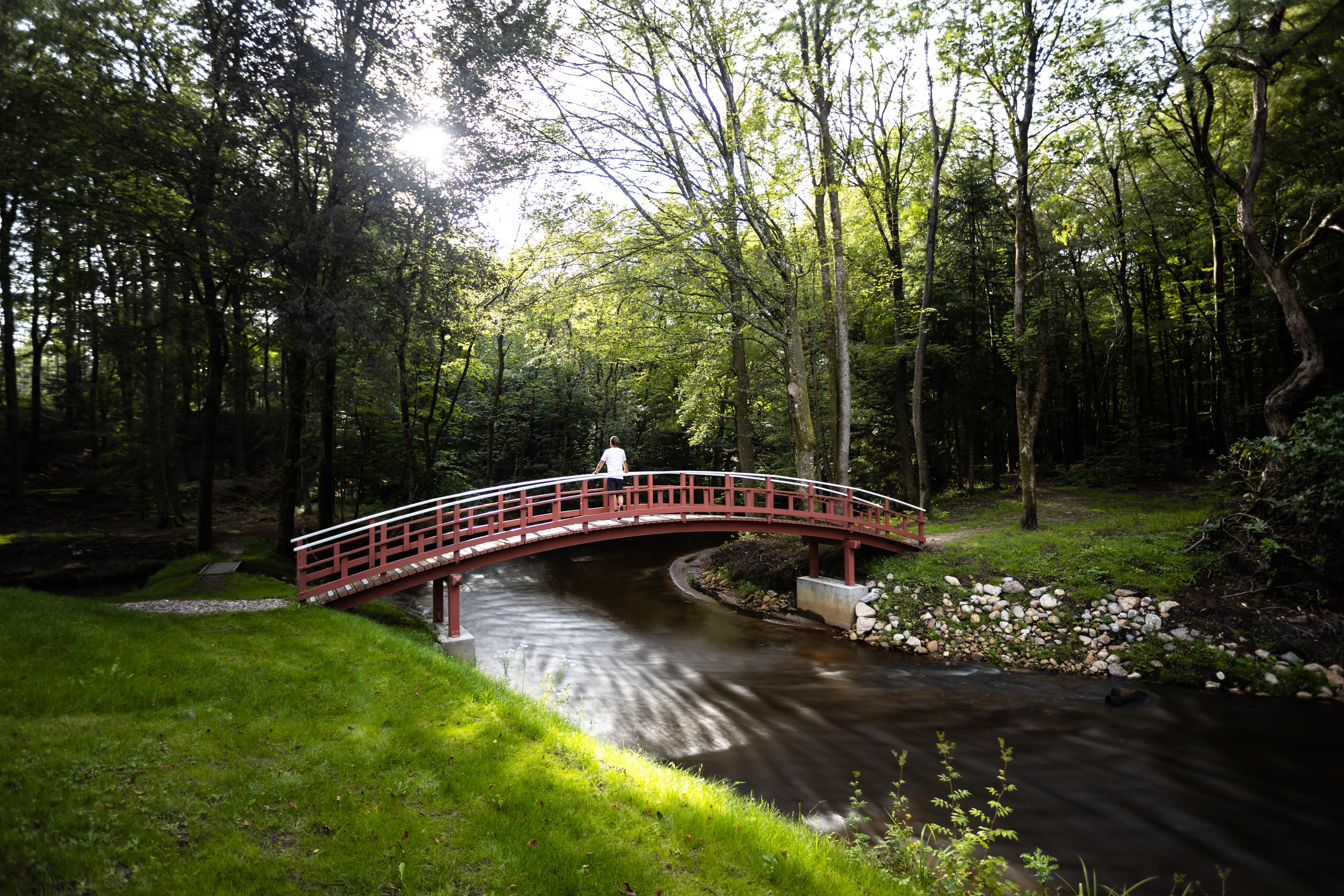 Weekend getaway at Skarrildhus