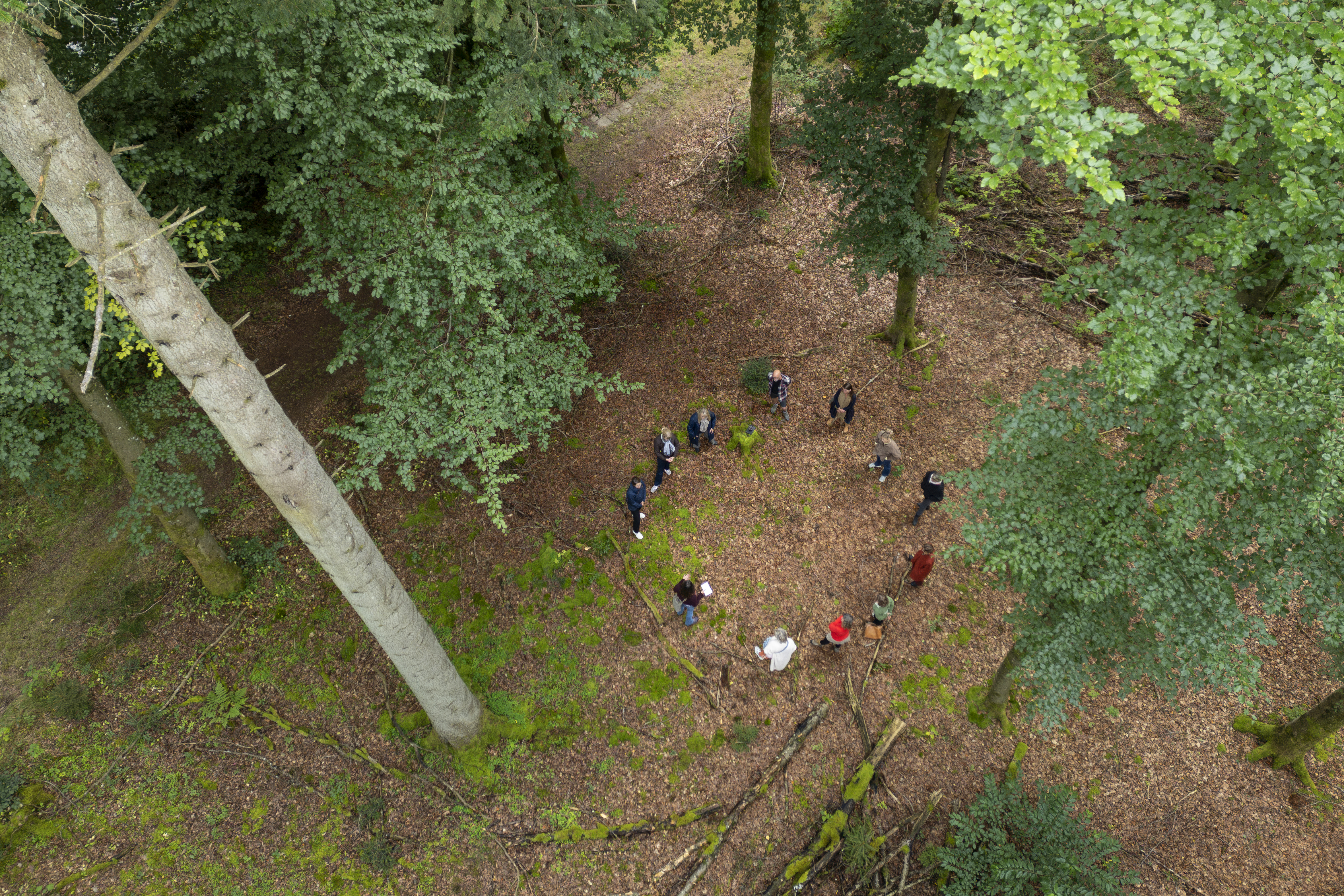 For mere information