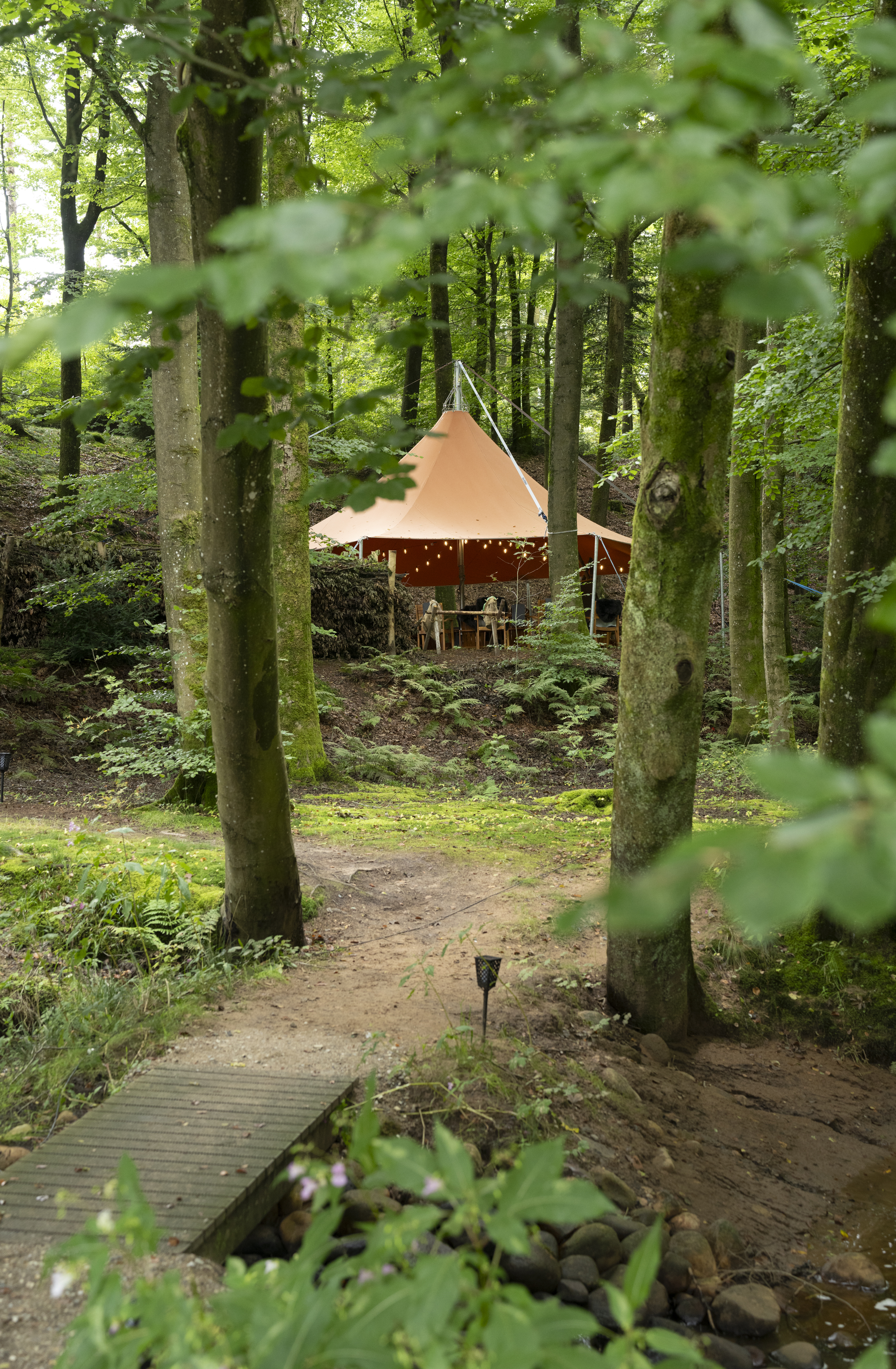 Hold dit møde udenfor i naturen