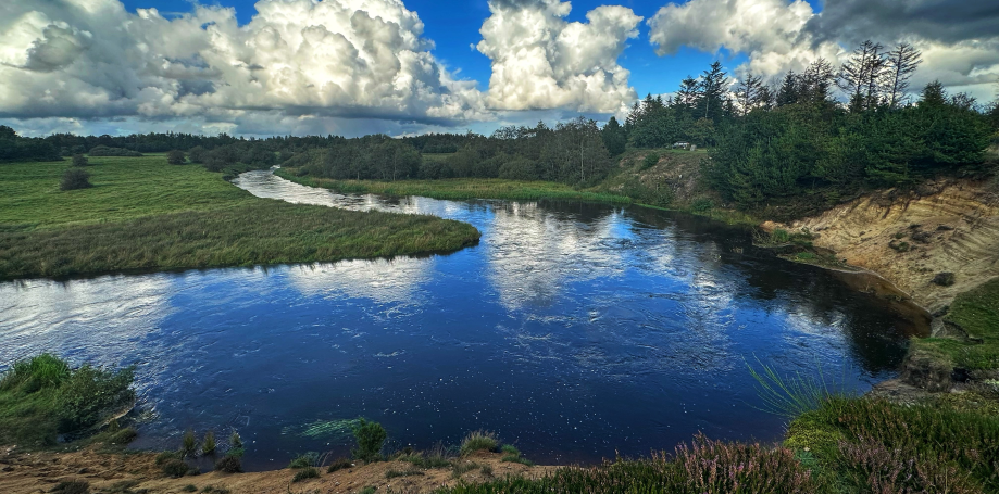 Salmon fishing Skjern Å