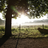 Træk stikket og nyd et weekendophold på Haraldskær. Læs mere her.