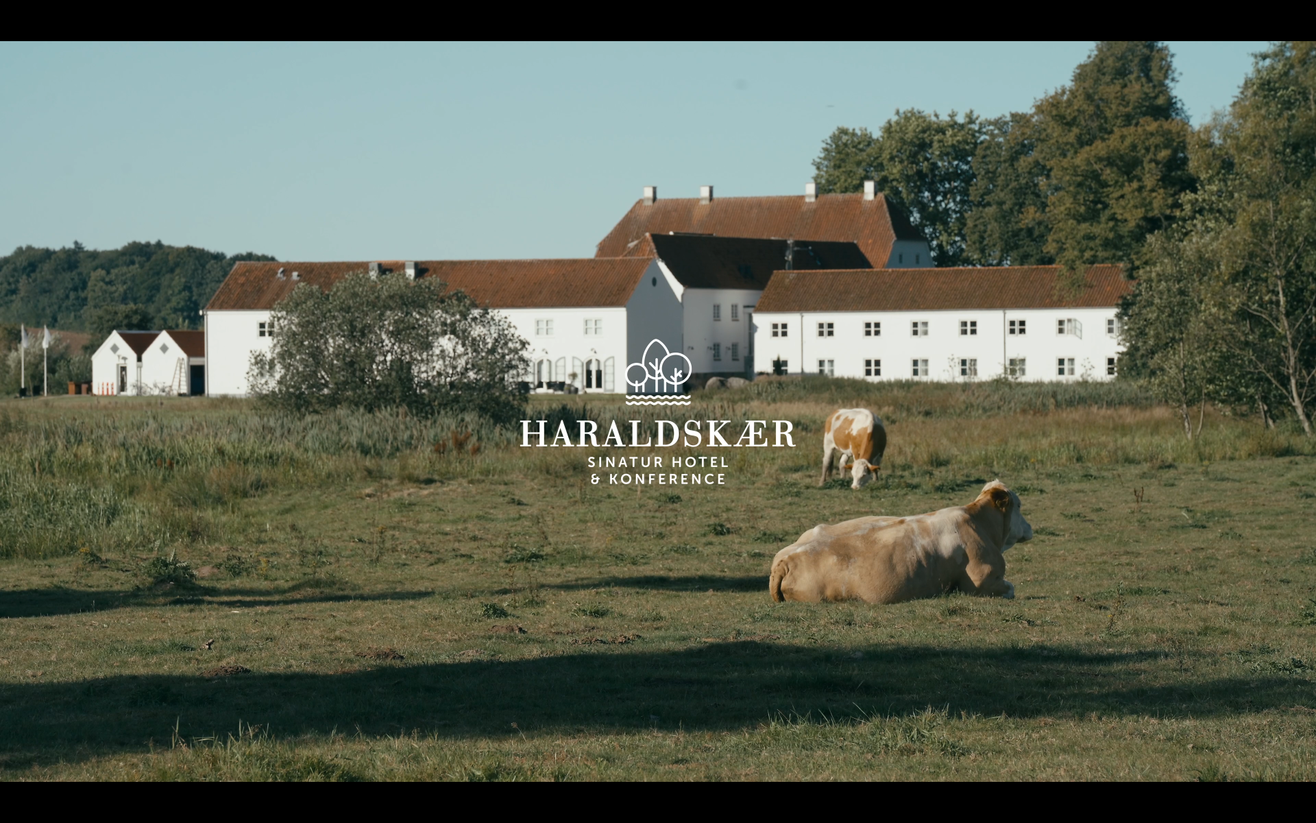 Haraldskær