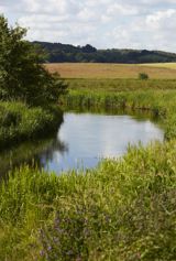 Gastronomic Walk near Vejle river valley