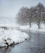Hyggeligt samvær midt i den særlige natur