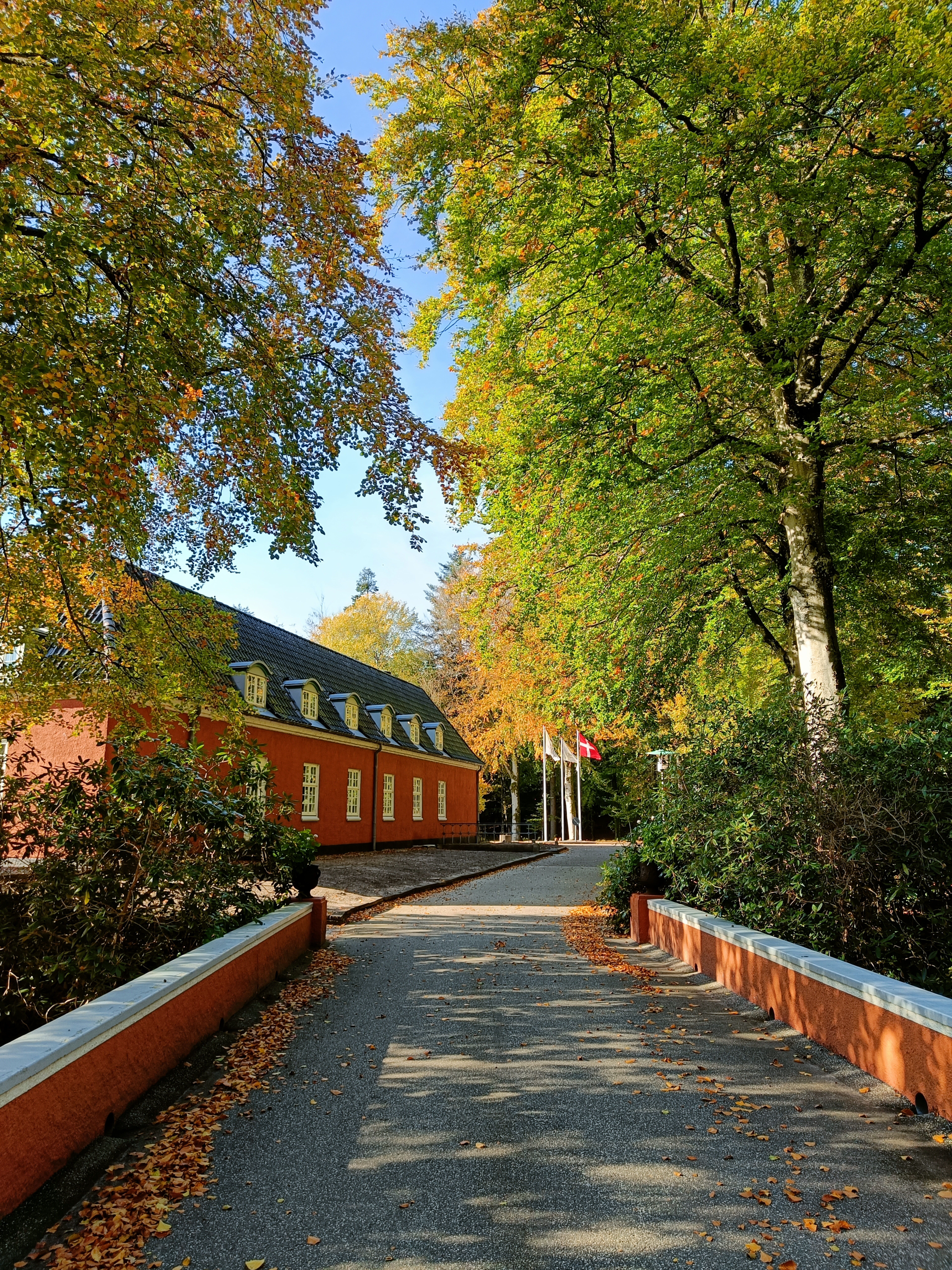 Efterårsophold i skoven
