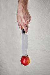 Sinatur sætter fokus på dilemmaerne i den bæredygtige transformation