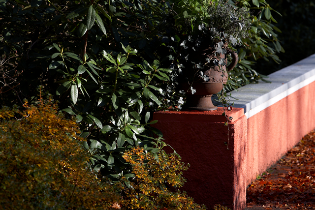 Få særligt gode tilbud direkte i din indbakke